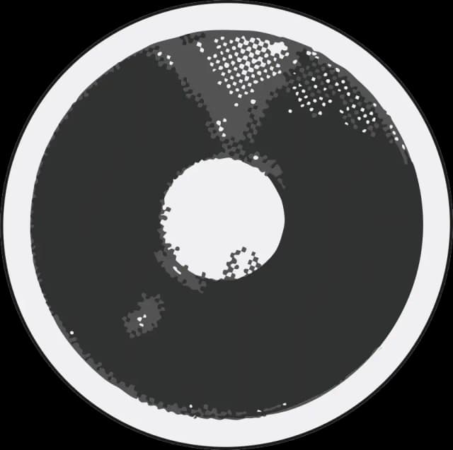 Vinyl record